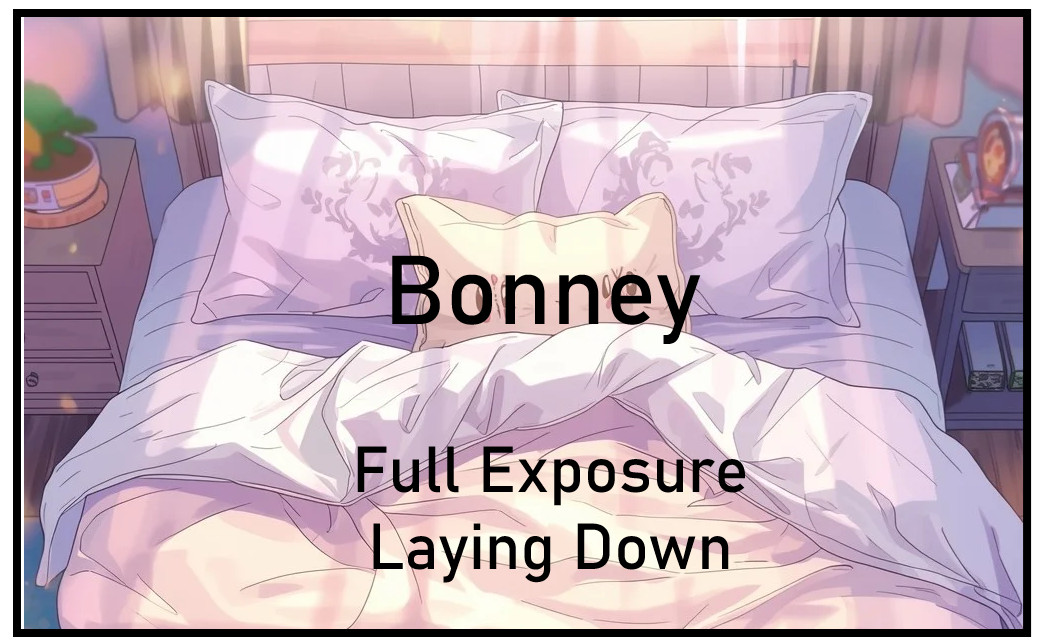 “Little Hidden” Double Sided One Piece OP Dingding A6 Boards NSFW Spicy Waifu