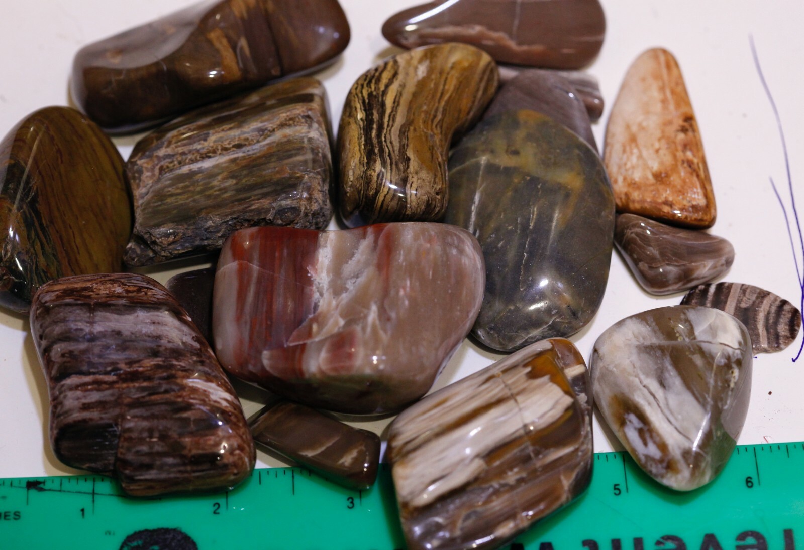 Tumbled Stone -Petrified Wood  – 24.0 Oz. Total wt. 