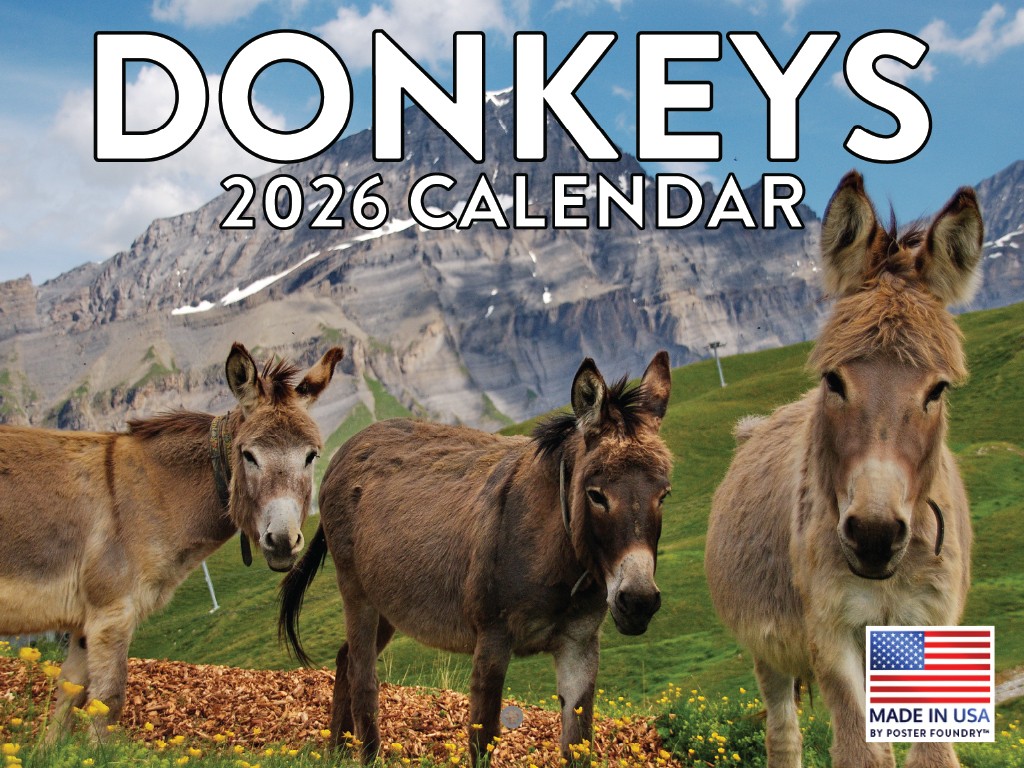 Donkey Calendar 2026 Monthly Wall Calender 12 Month