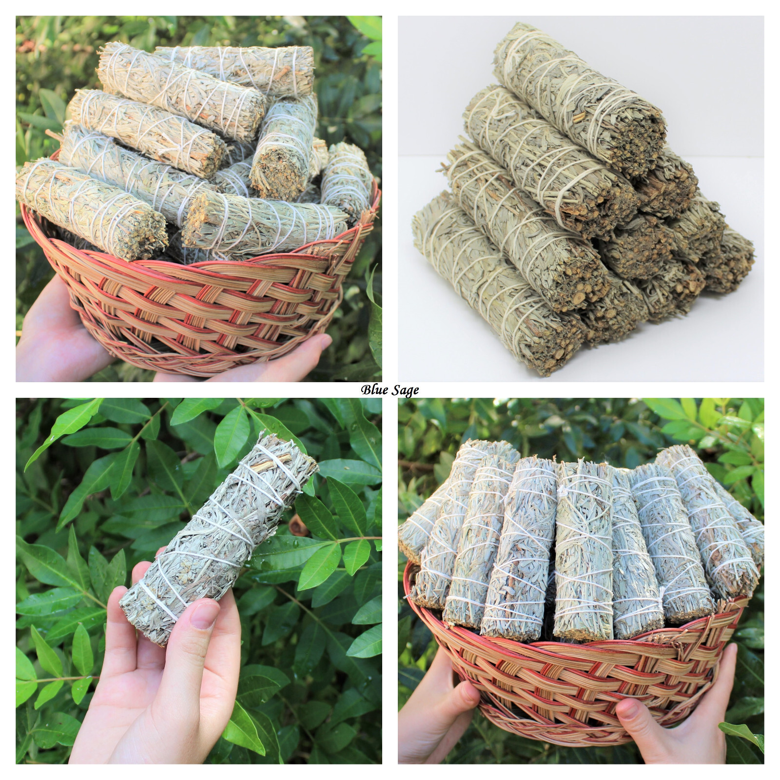 5 Smudge Stick SAMPLER: Black Sage Blue Sage Cedar Sage Juniper Sage Yerba Santa
