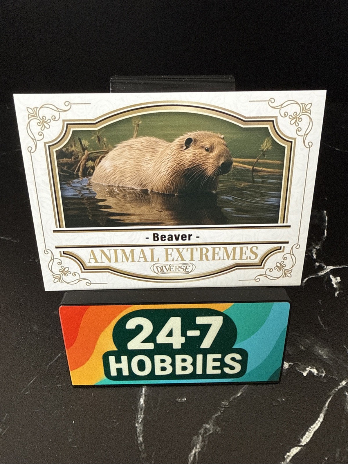 2024 Kakawow DIVERSE season 1 Premium Cards – Beaver