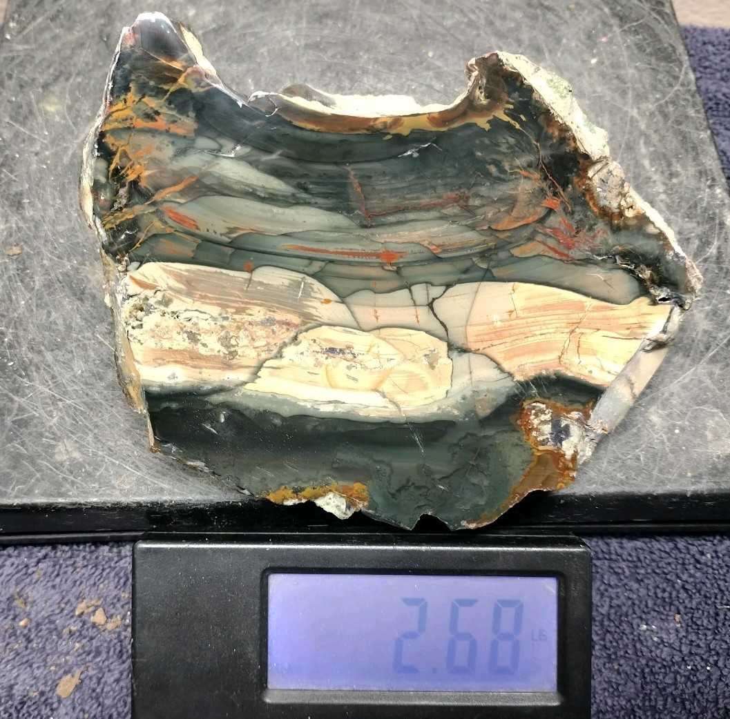 2.68LB AAA+ Blue Mountain Jasper Polished Display Museum Quality #31