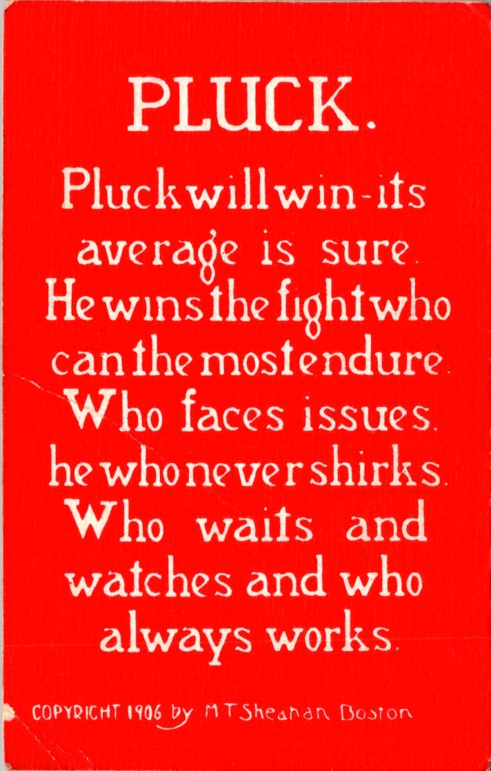 1906 Sheahan Motto Postcard “Pluck” Awarded For Attendance Boston Sunday School