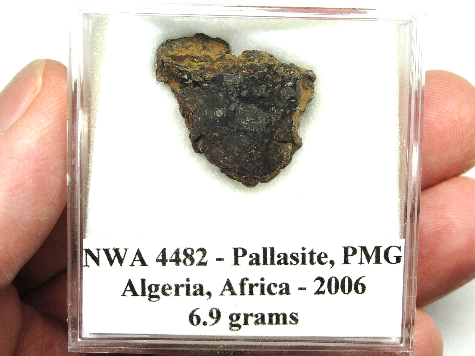 NWA 4482 Pallasite-pmg Meteorite – Official – 4482-0001 – 6.9g – COA – End Cut