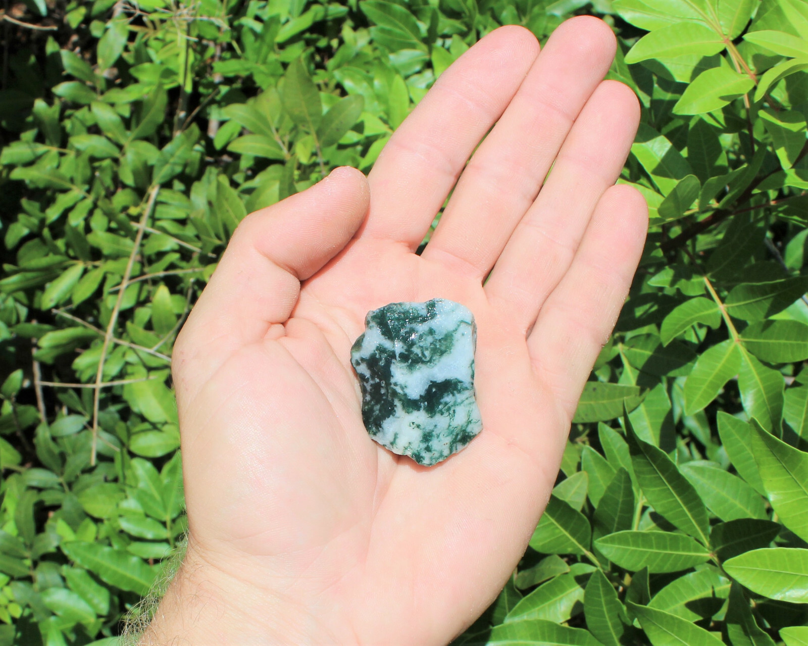 1 Single Natural Rough Tree Agate (Stone Mineral Specimen Raw Rock)