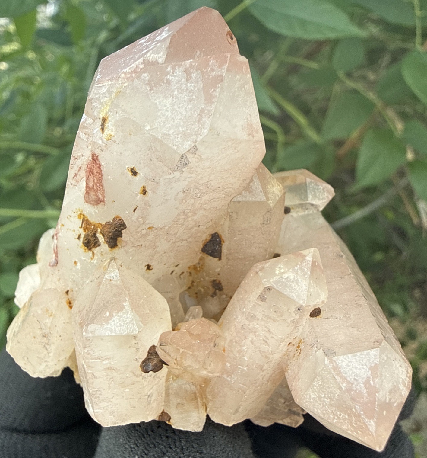 Natural A+ Himalayan Pink Hematite Quartz Cluster! Crystals,Minerals