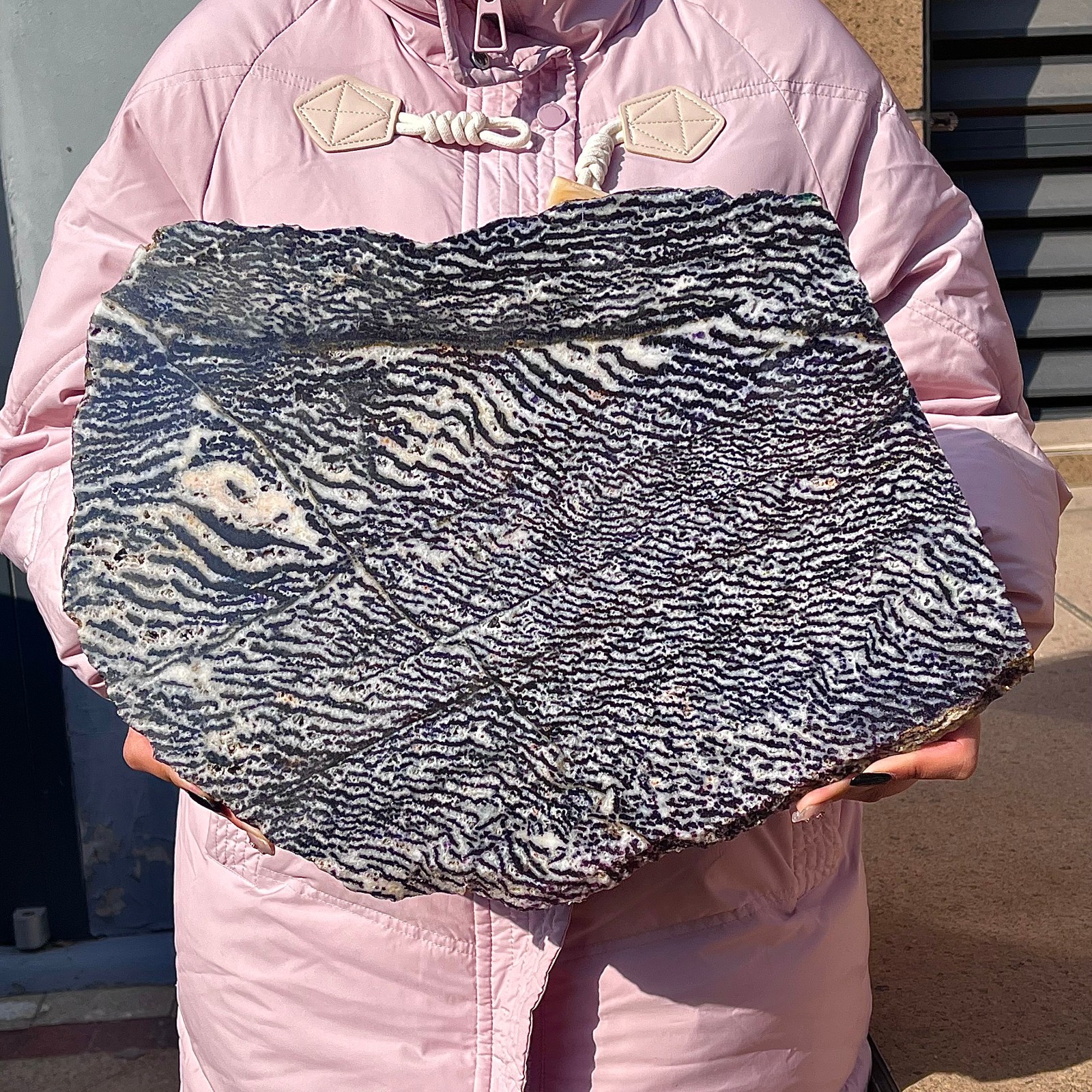 6.85LB Beautiful Zebra Rock – Unique Purple and White Striped Gemstone