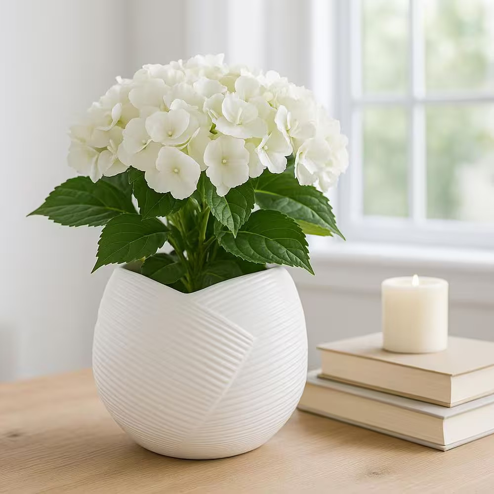 White Ceramic round Abstract Decorative Planter (8 In. W X 7 In. H)