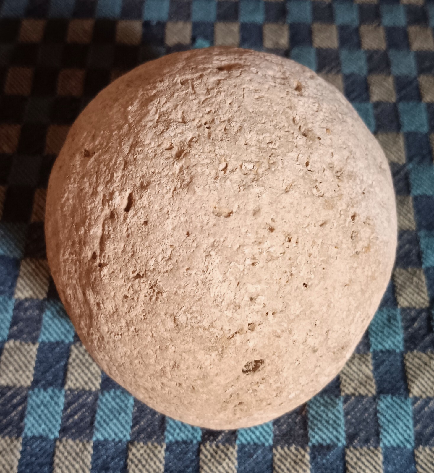 1 LB 4 OZ (3″ X 3 1/4″) TN Piney River Concretion Rock Limestone