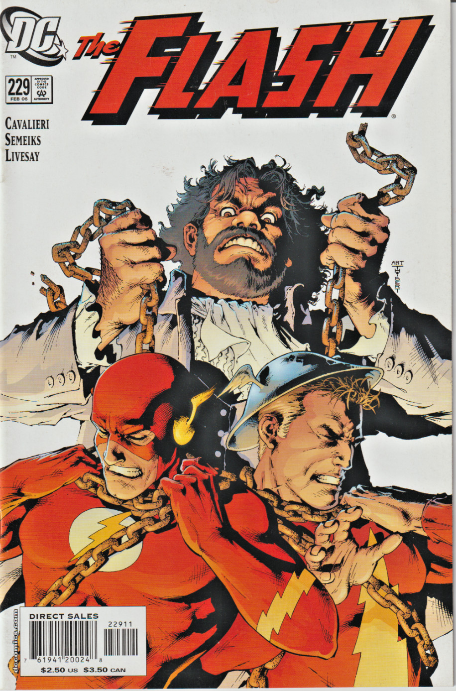 FLASH #229 WALLY WEST * FLASH [JAY GARRICK], KID FLASH [BART] DC 2006 NICE!!