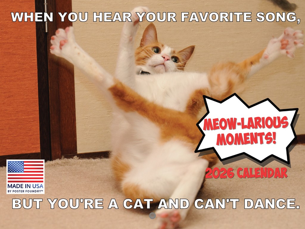 Funny Cat Calendar 2026 Cats Monthly Wall Calender 12 Month 12×18
