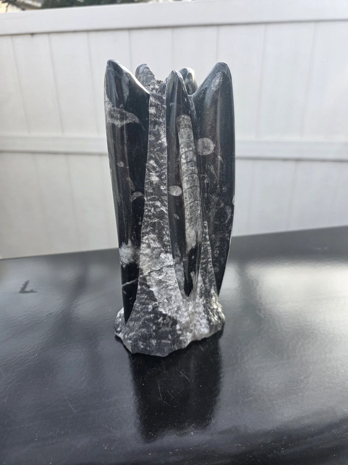 Orthoceras limestone statue! 3.5 pounds, 9 inches tall, 2.5″ wide