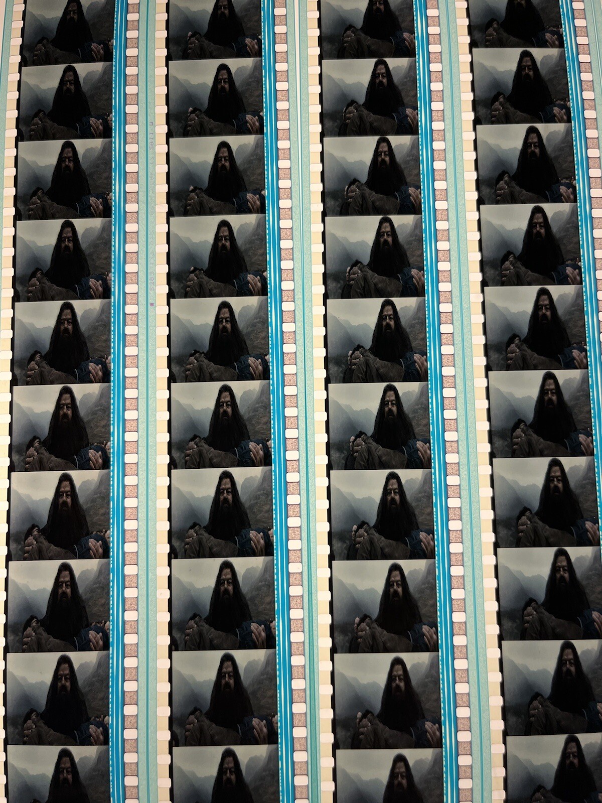 2 Harry Potter & Deathly Hallows Pt 2 2010- 35mm 20 cells Rubeus Hagrid Scene #3
