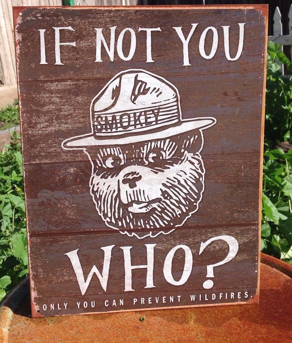 Smokey the Bear If Not You Who Can Prevent Wildfires Tin Metal Sign Vintage