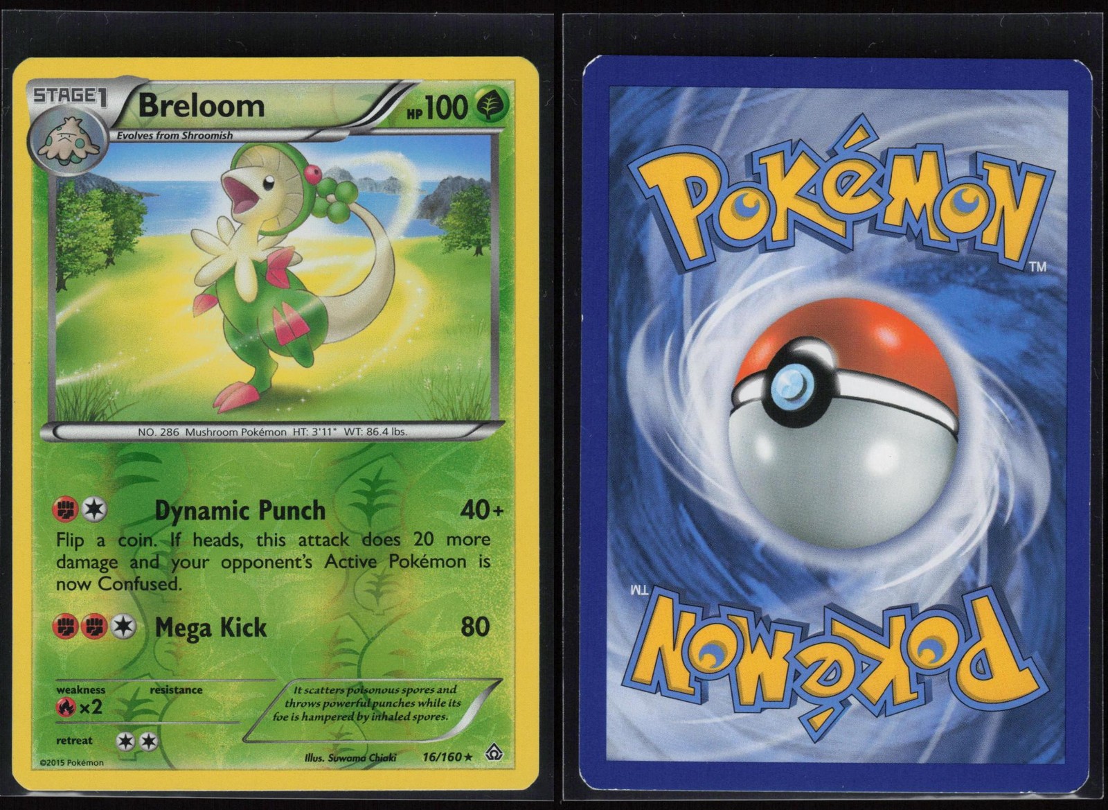 Breloom 16/160 Reverse Holo Primal Clash Rare Chiaki Lightly Played