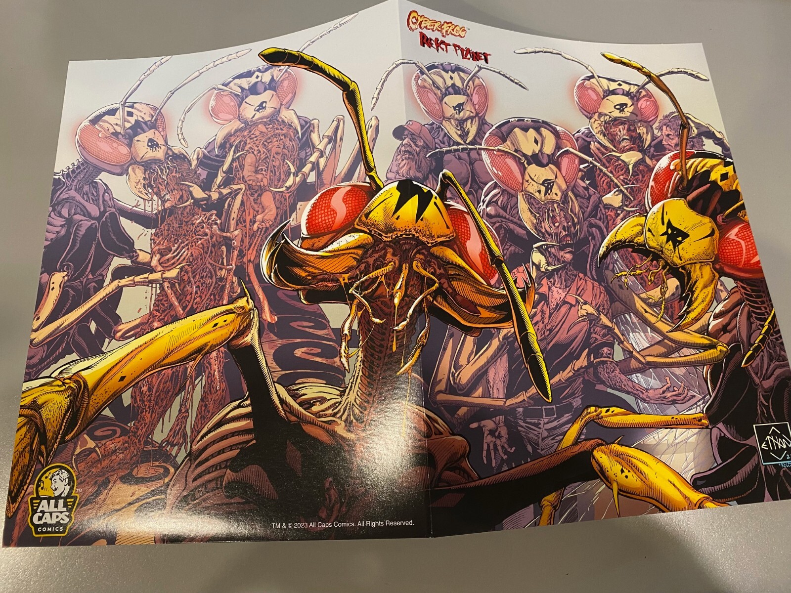 CYBERFROG Vyzpzz Folder!