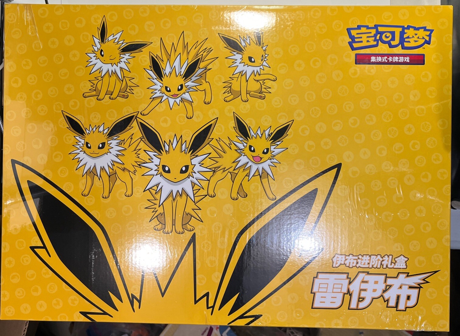 Pokemon Chinese TCG Exclusive Eevee Advanced Gift Box Sealed(Jotleon VMAX )