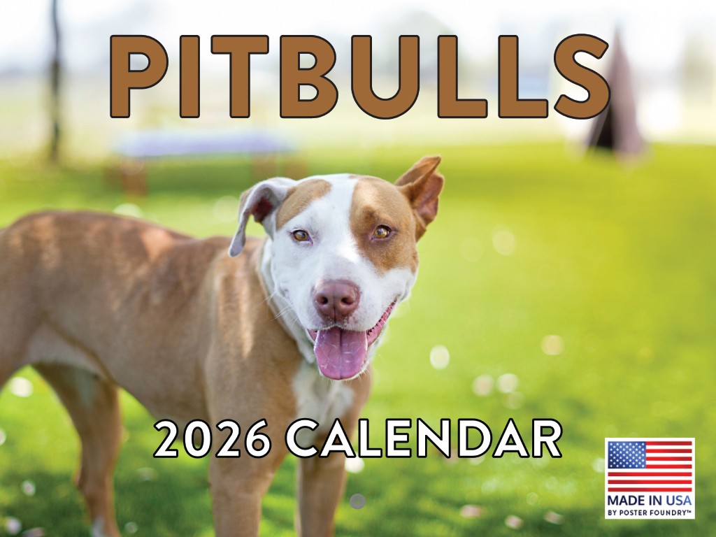Pitbull Calendar 2026 Pit Bull Monthly Wall Calender 12 Month 12×18