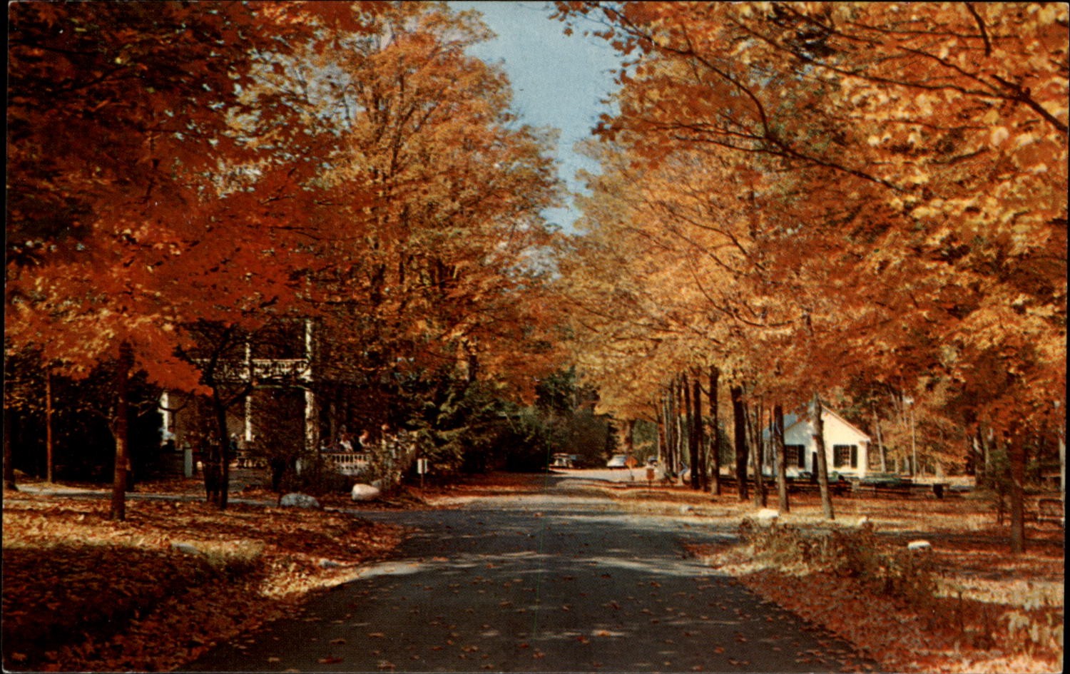 Capon Springs and Farms Capon Springs West Virginia vintage postcard e513