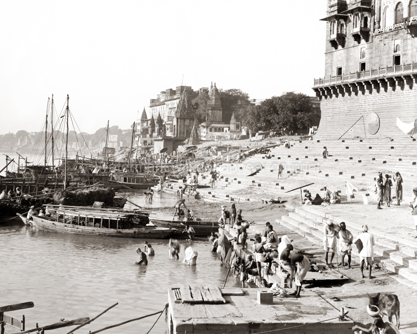 Benares Varanasi India Bathing Ghat Ganges River Boats Temples Vtg. Photo 19thC.