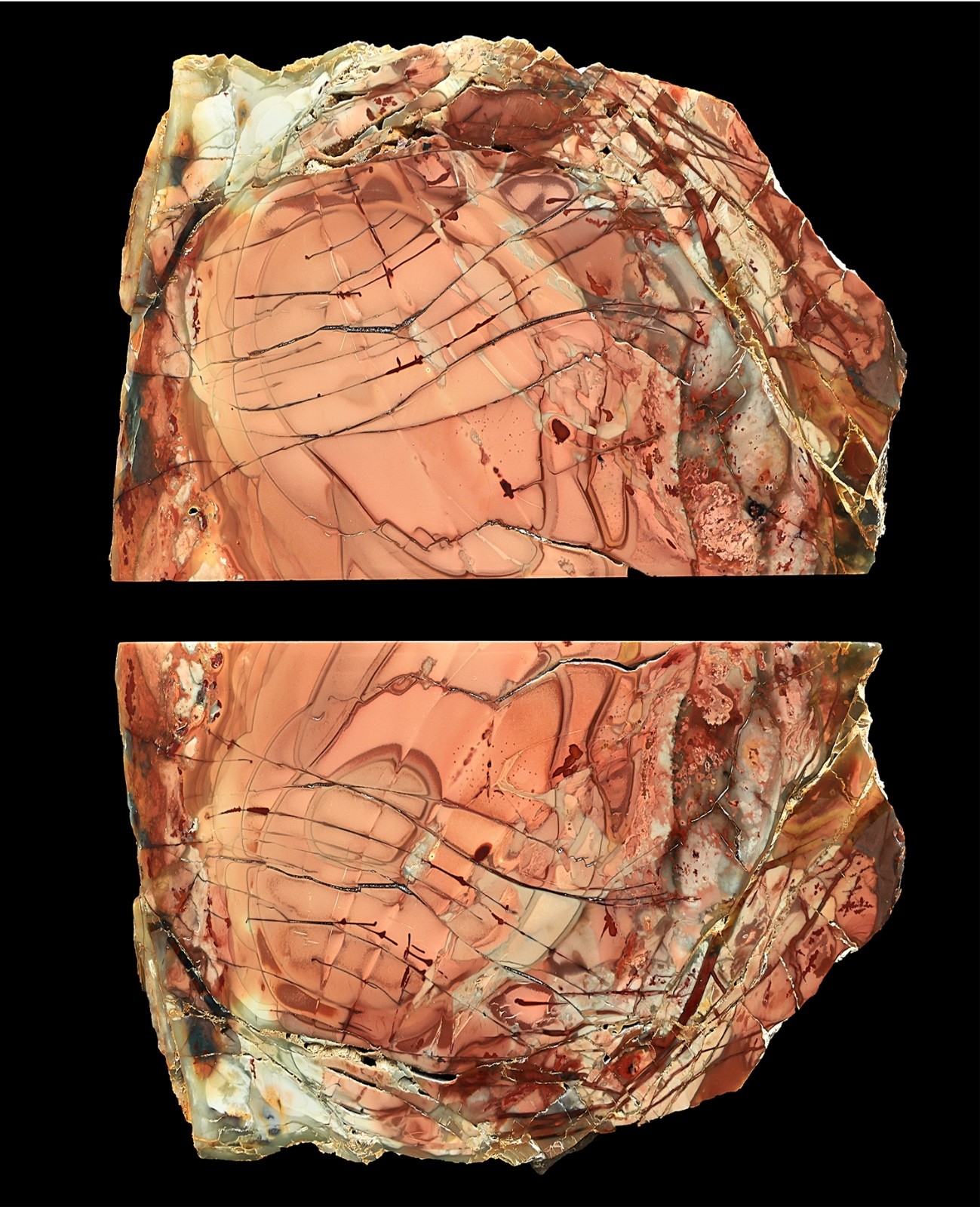 Red Blood Splatter Morrisonite Picture Jasper Butterfly Pair Specimens Polished