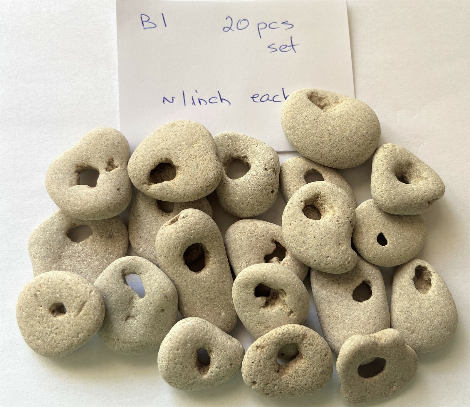 20 Natural Hag Stone Bulk Lot 1-1.25 in. Holed Raw Witch Wiccan Holey rocks, B1