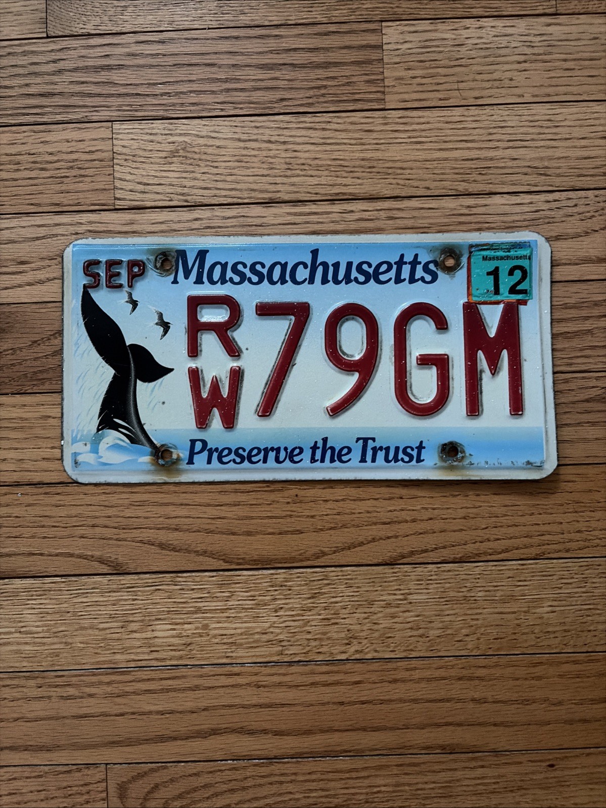 Massachusetts Preserve the Trust Whale License Plate