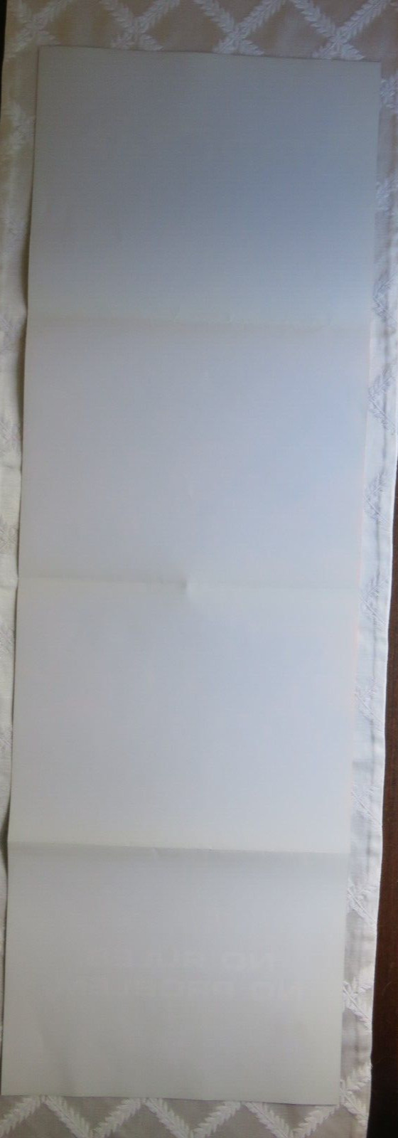 STARCRAFT ~NO RULES NO PROBLEM /MONTHLY COMIC COMING 2009 11″ x 34″ PROMO POSTER