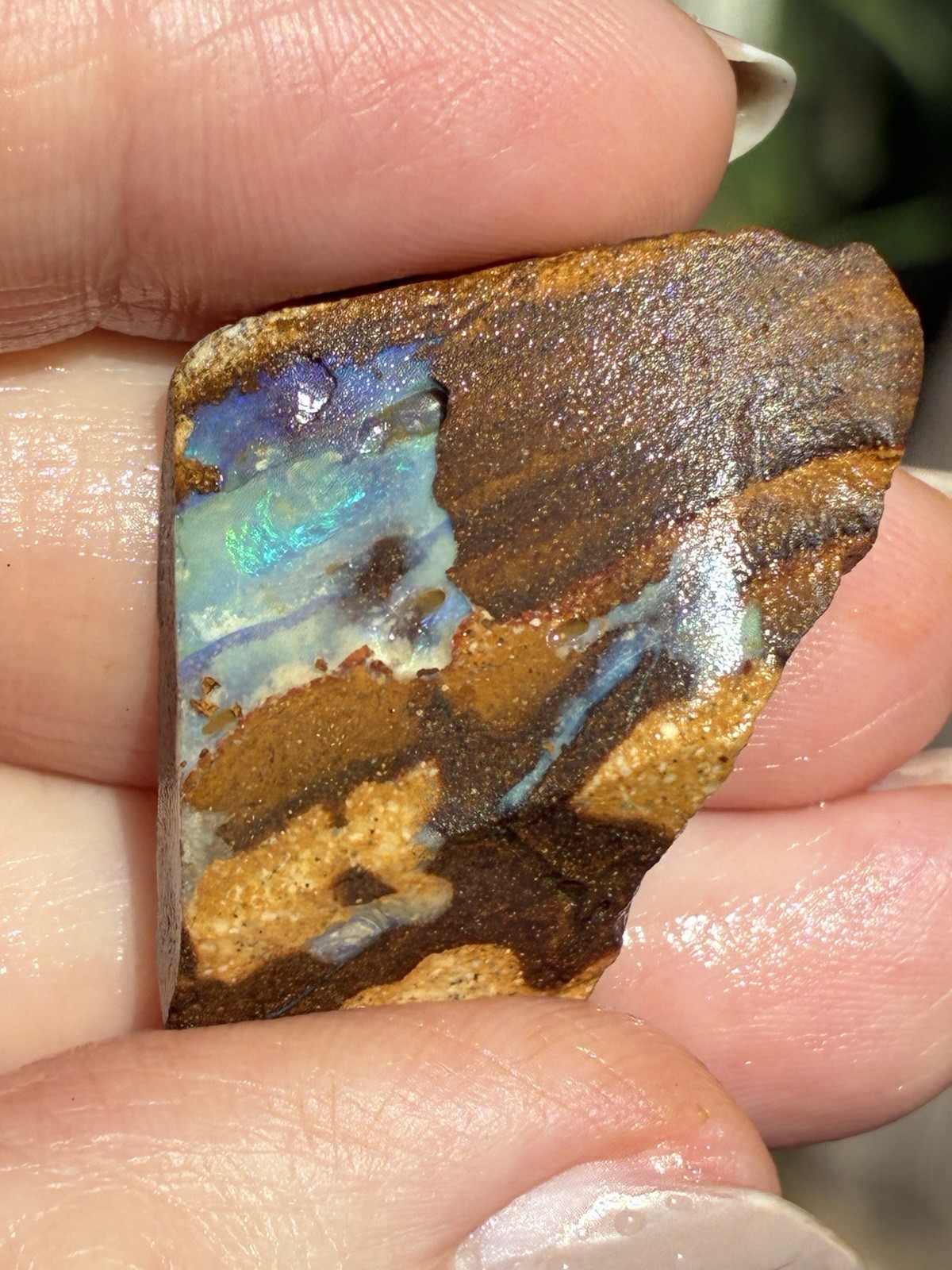 Pretty 43ct Australian Boulder Opal Rough Loose Purple Specimen P
