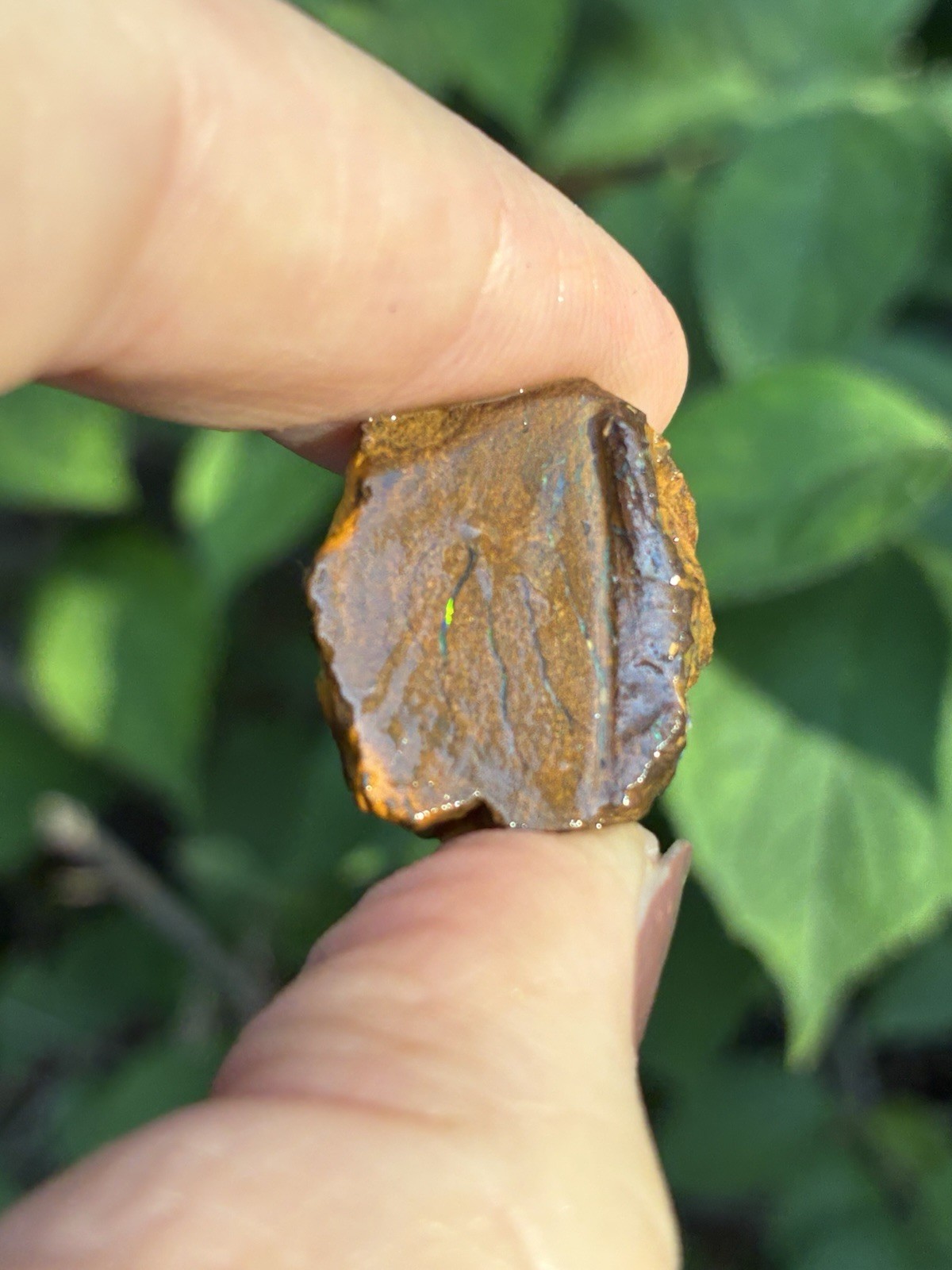 24ct Pretty Australian Boulder Opal Rough Loose Double Sided Specimen A30