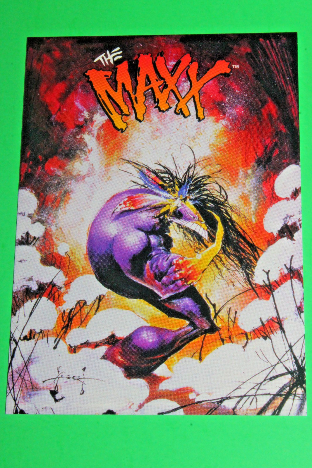 The MAXX EMBOSSED Private Collection #E6 CHASE CARD Sam Kieth Wildstorm MTV 1996