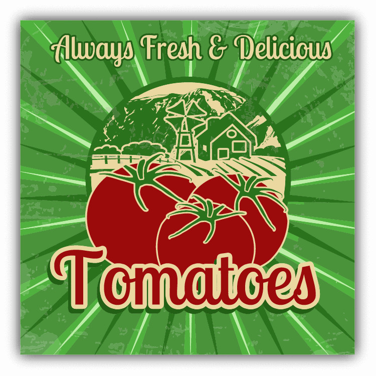 Always Fresh And Delicious Tomatoes Car Bumper Sticker Decal 5″ x 5″