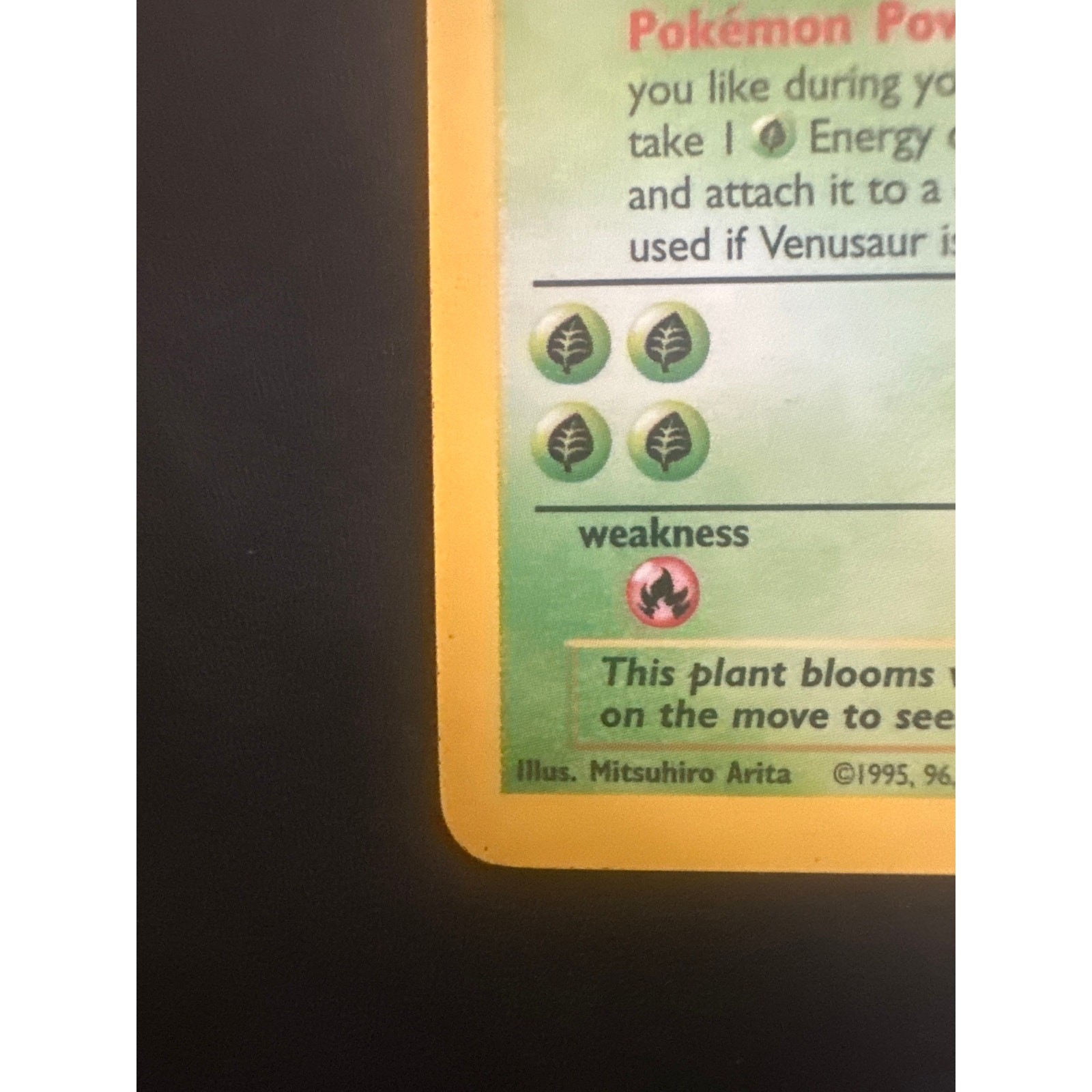 Venusaur #15 Base Set HP