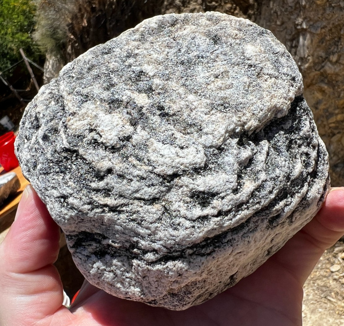 Granodiorite White and Black Mineral Zebra Specimen 3.1lbs