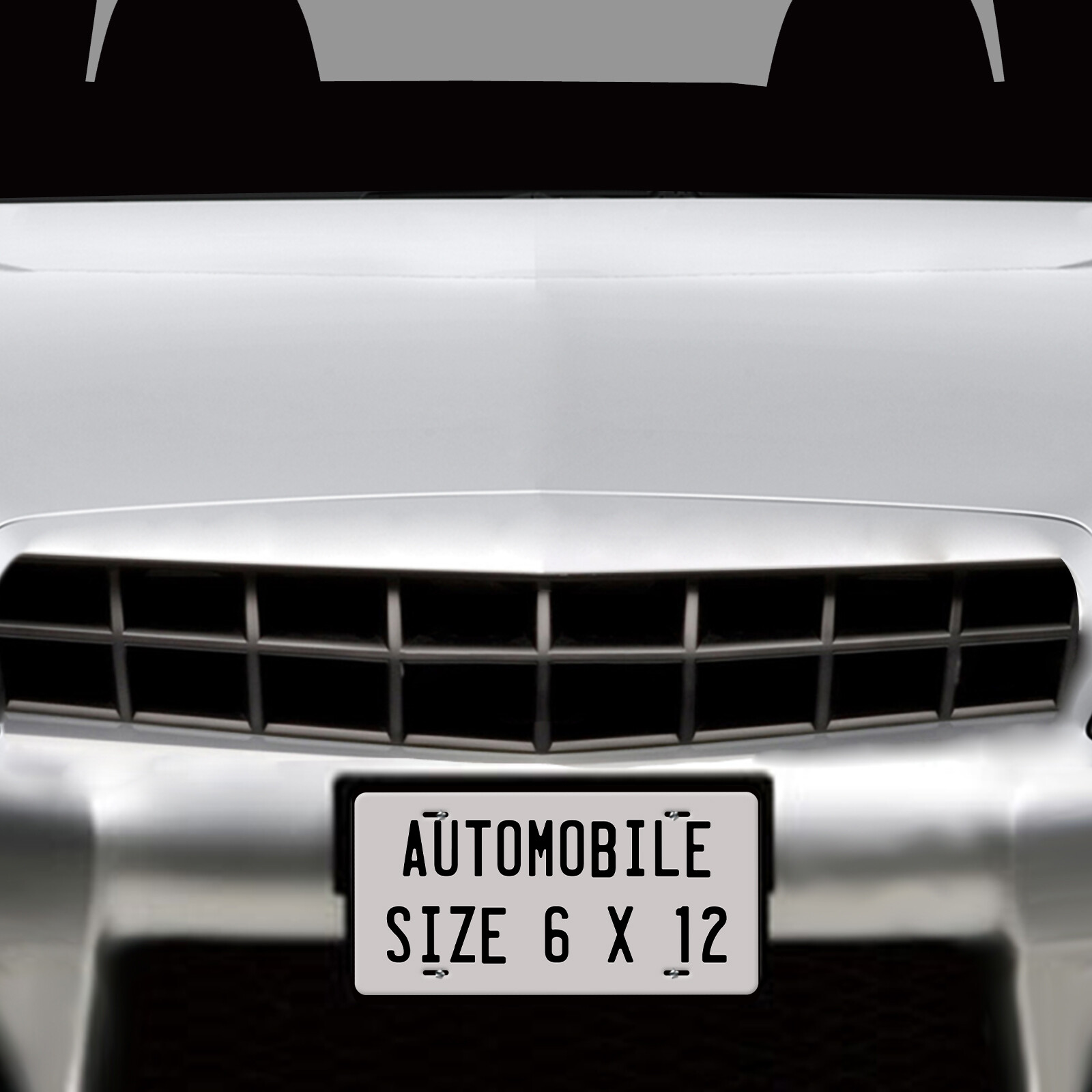 FLORIDA Personalized Custom License Plate Tag for Auto Car Bicycle ATV Bike etc