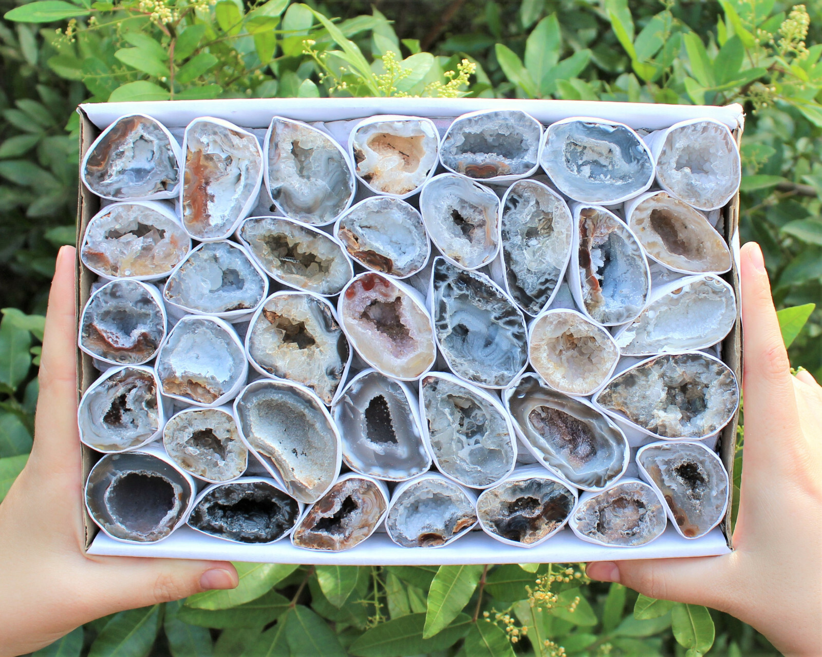 Small Oco Agate Geodes, Natural Crystal Druzy Halves, Bulk Wholesale Lots!