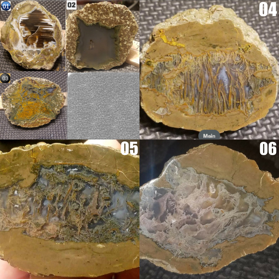 6 Polished Oregon Thundereggs Display Specimen 2.25lb Priday Moss Agate Geode