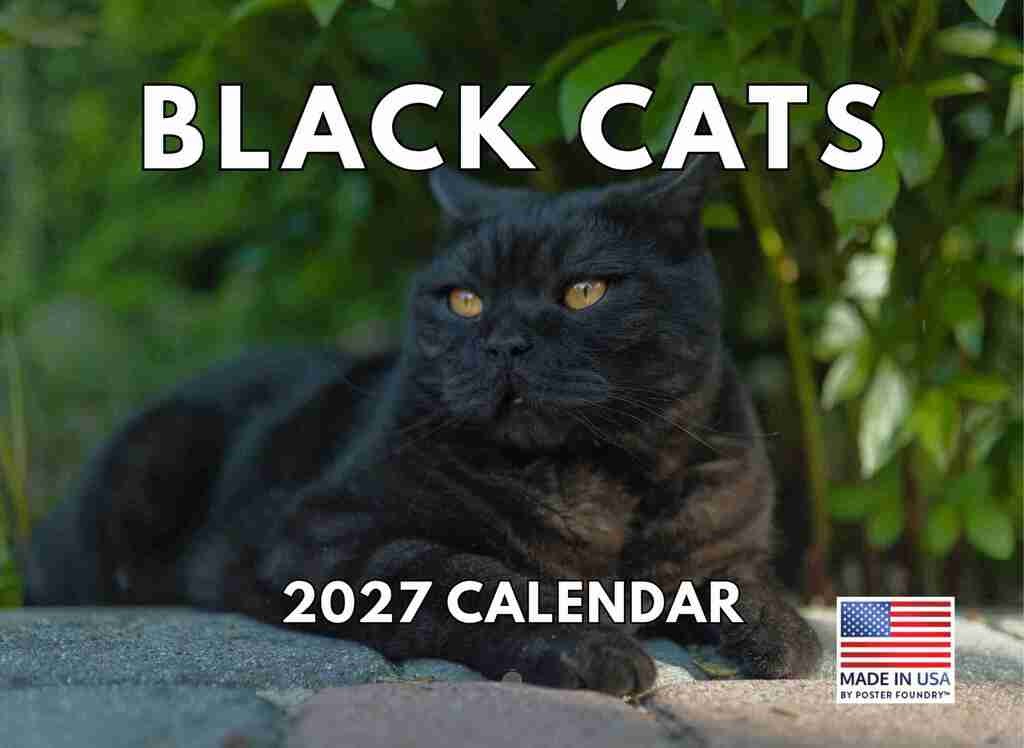 Black Cat Calendar 2027 Black Cats Monthly Wall Calender 12 Month 12×18