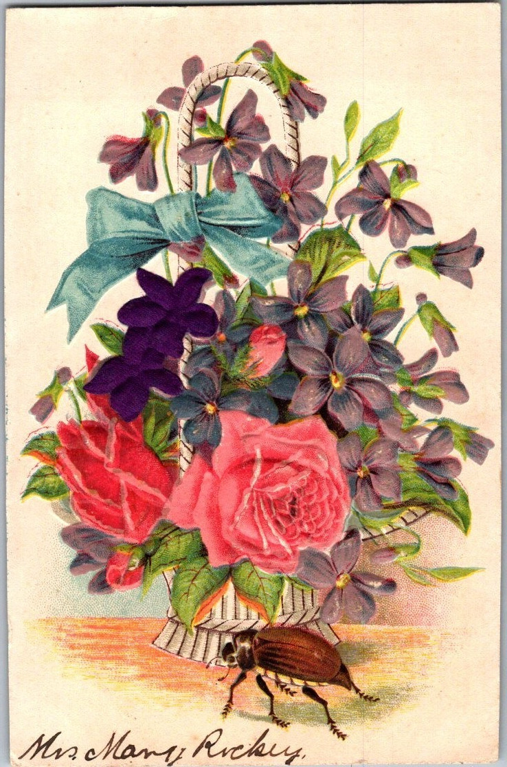 Vintage Victorian Postcard 1910 All Occasion – Vase of Flowers & Beetle