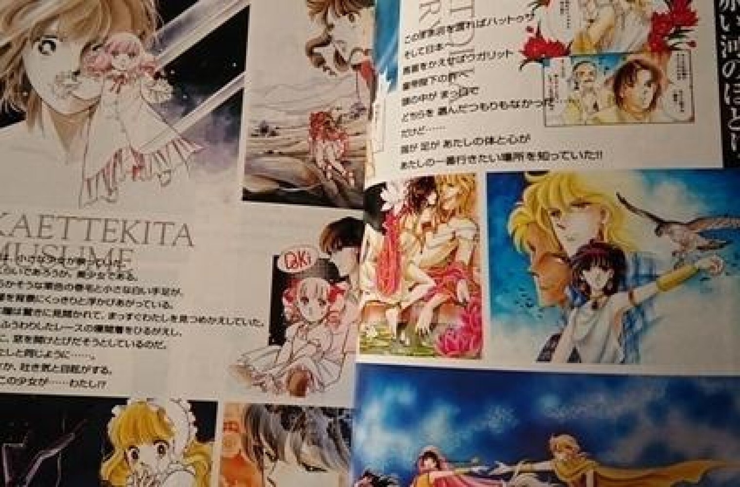 Chie Shinohara World Guide 1981 – 1999 Art JAPAN Book Red River Anatolia