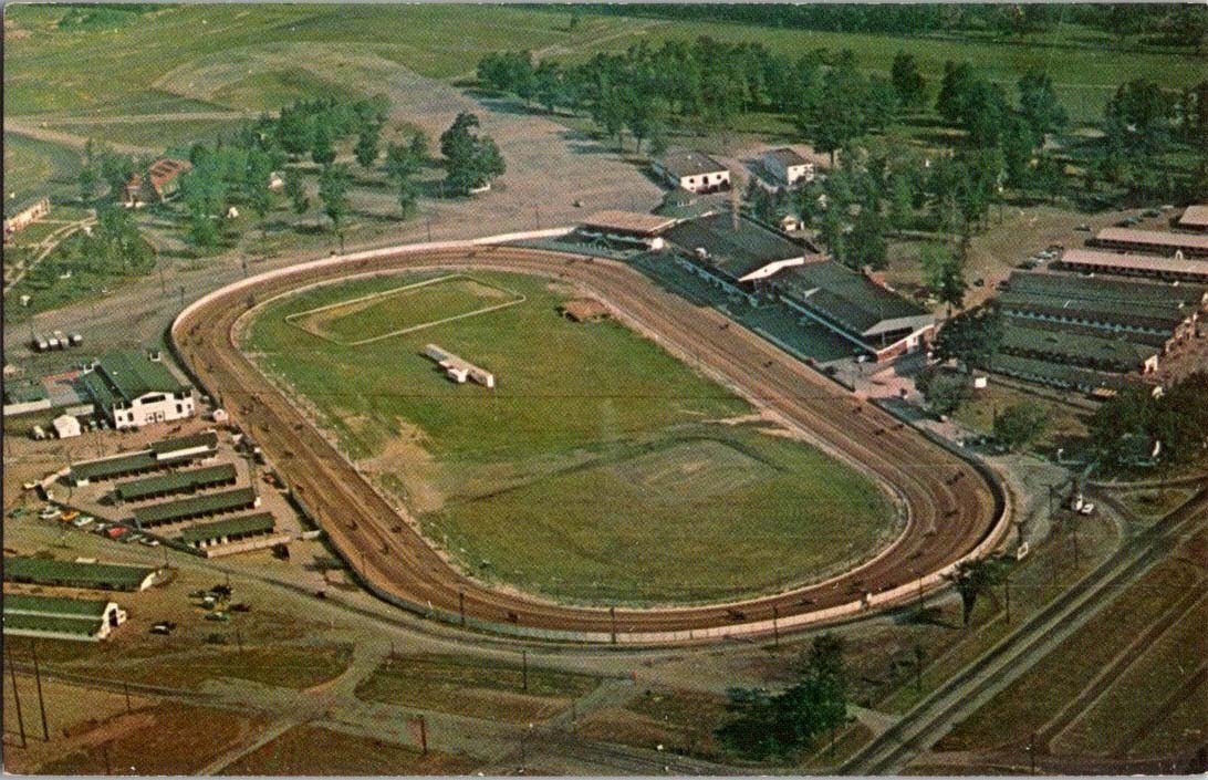 Hamburg NY postcard BUFFALO RACEWAY MAJOR LEAGUE NIGHT HARNESS j/13 BK4725