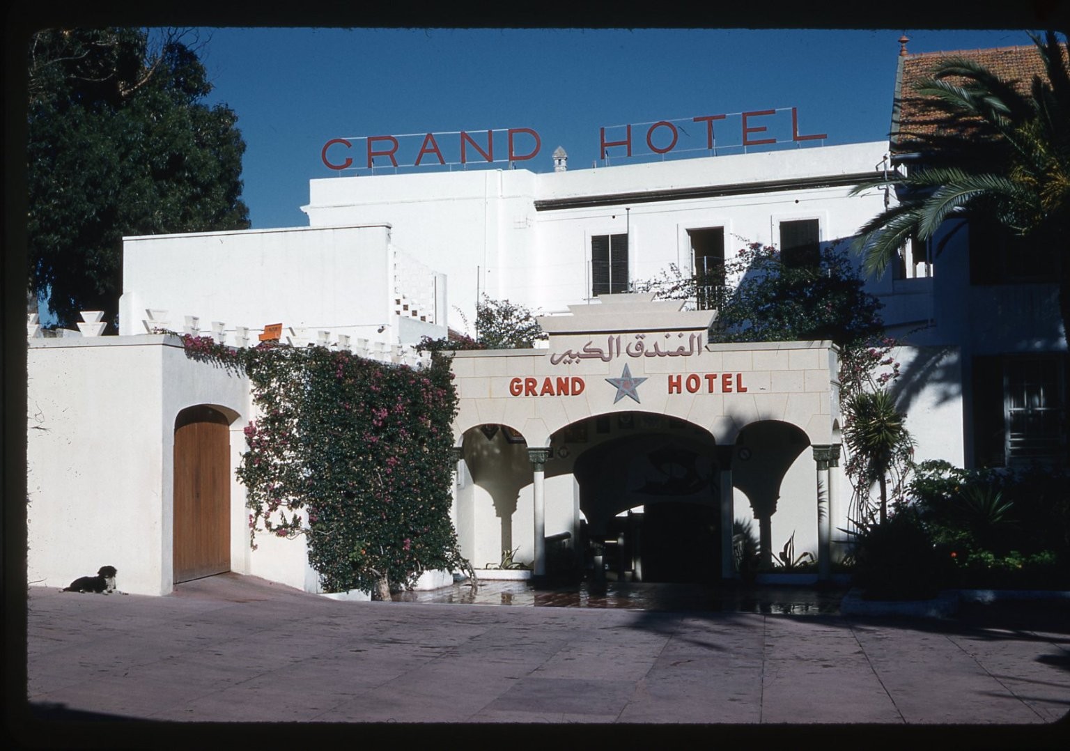SL27 Slide 1960 Grand Hotel Morocco Architecture Arabic Signage Palm Trees 232a