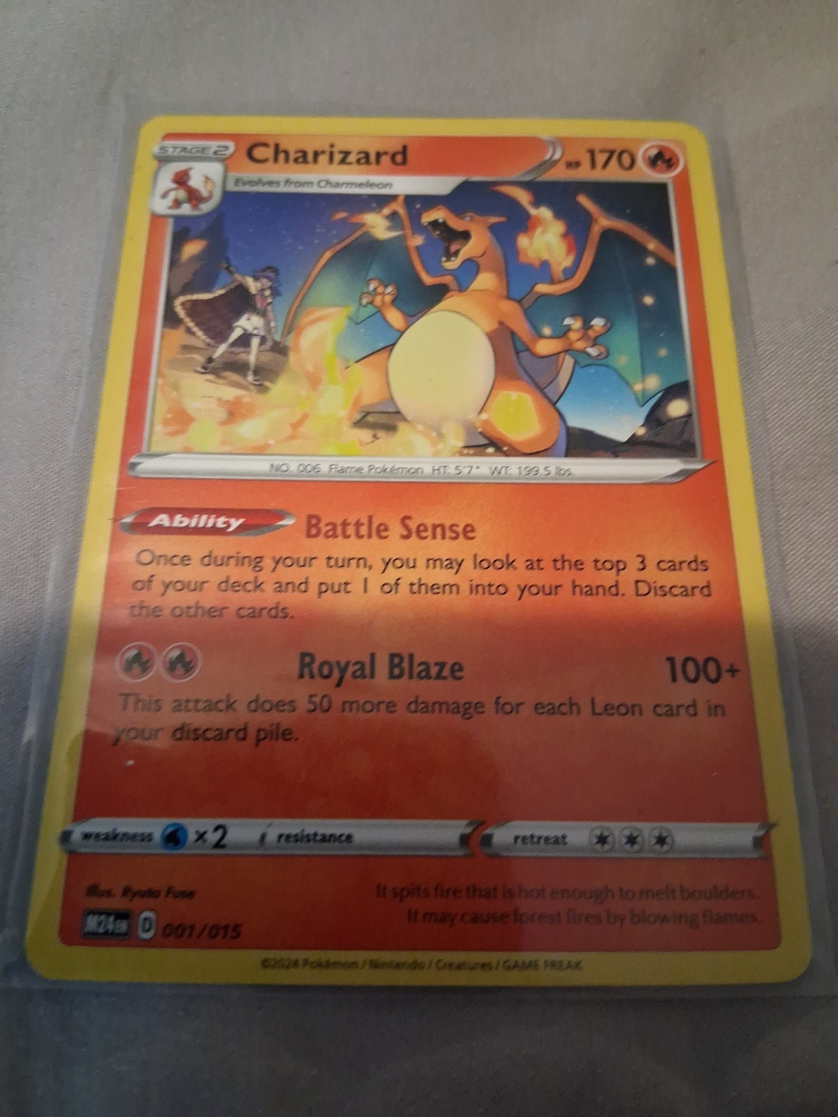 Pokemon Lot