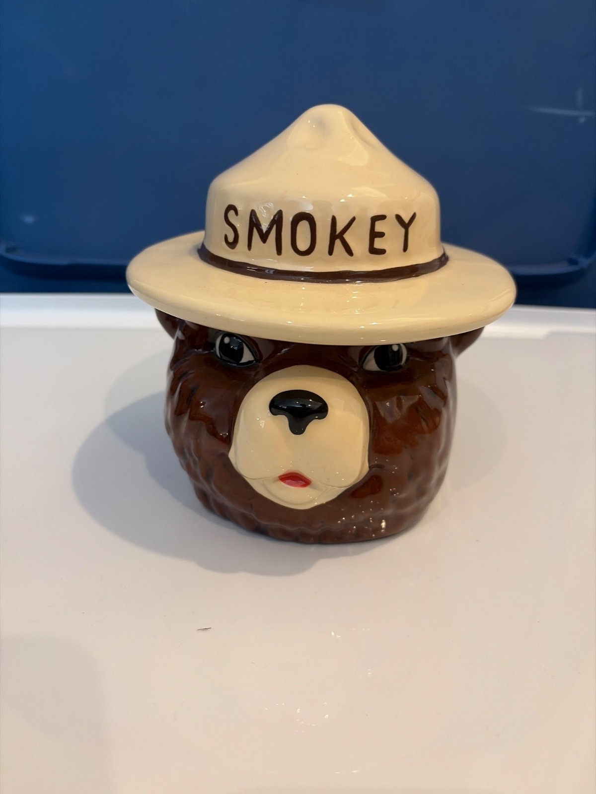 Vintage Ceramic Smokey the Bear Head Piggy Bank