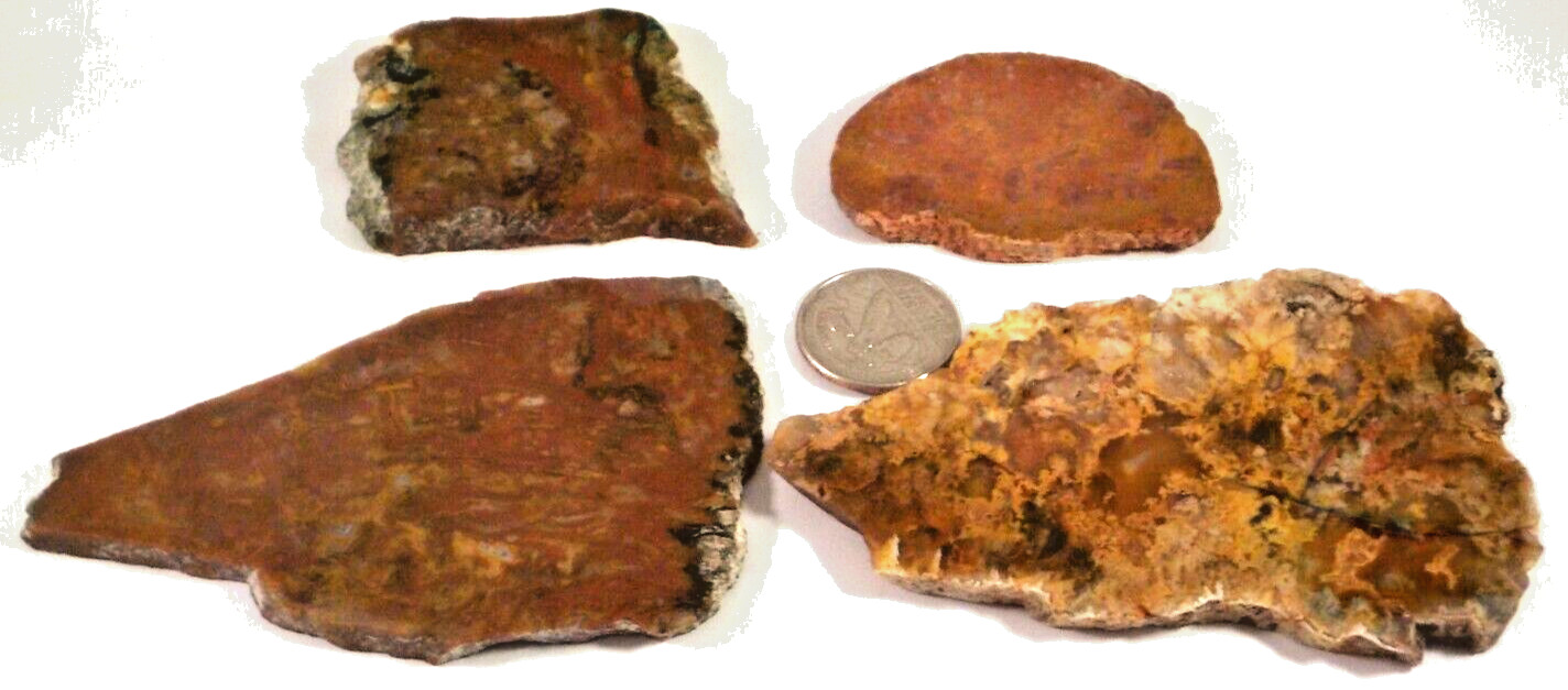 4 Juicy Jaspers Mojave Desert CA Total 7.4 Ounces 1st Picture Wet #3440