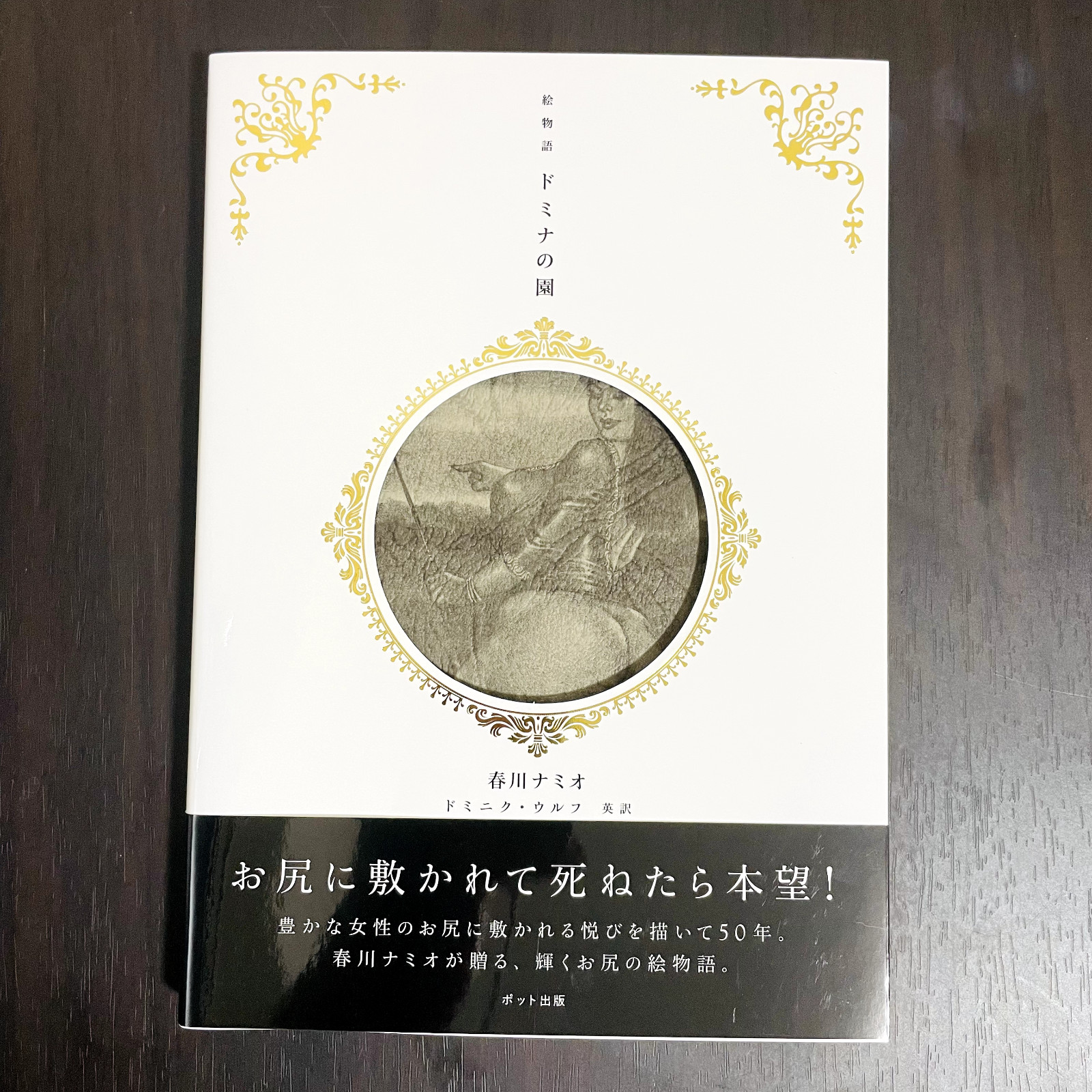 Namio Harukawa The Garden Of Domina Illustrated Story Book