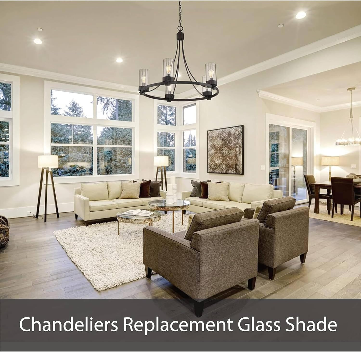 Clear Seeded Glass Shade for Vanity, Wall & Pendant Lights – 4.875″D x 6″H