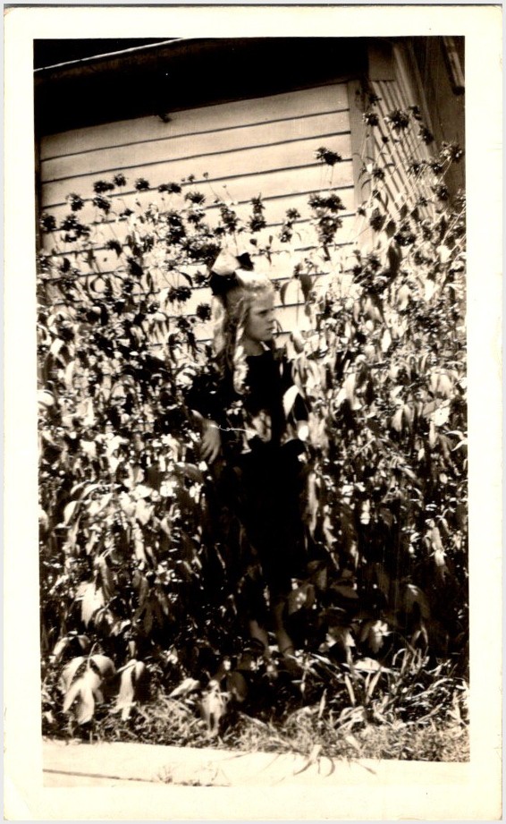 C. 1910s Photograph Juvenile Girl Garden Dahlias Ringlets Bow American Fashion