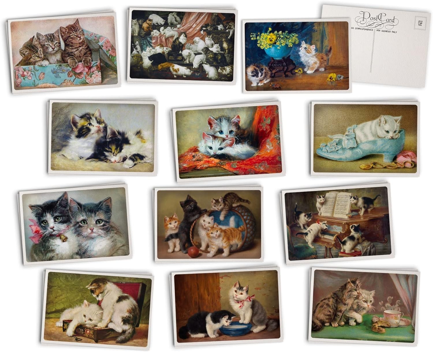Antique Cat Postcards – 24 Vintage – 12 Assorted Multicolored