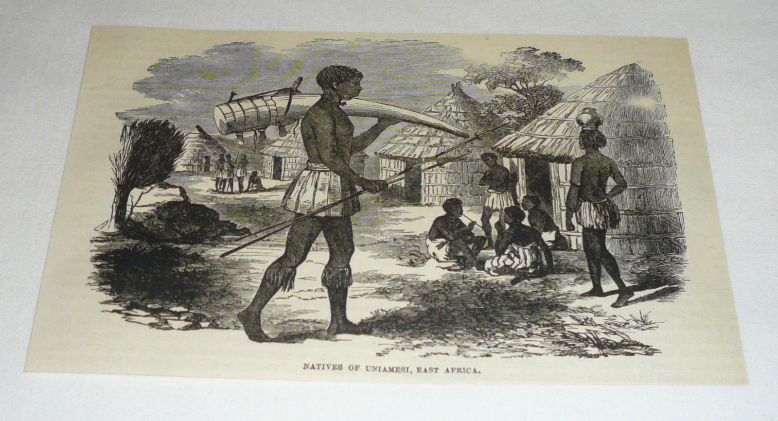 1877 magazine engraving ~ NATIVES OF UNIAMESI